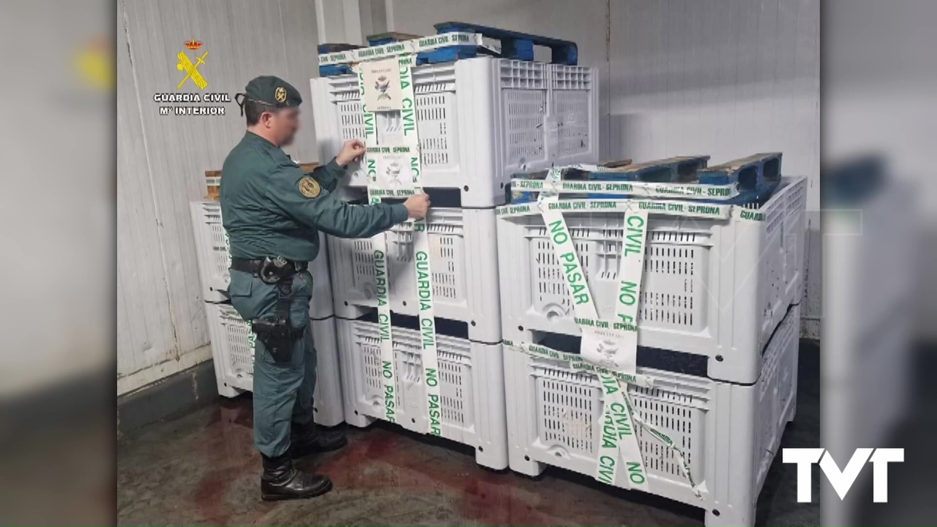 Imagen de Guardia Civil intercepta casi dos toneladas de boquerón inmaduro en la lonja de San Pedro del Pinatar tras la negativa de la lonja de Torrevieja a aceptar dicha mercancía