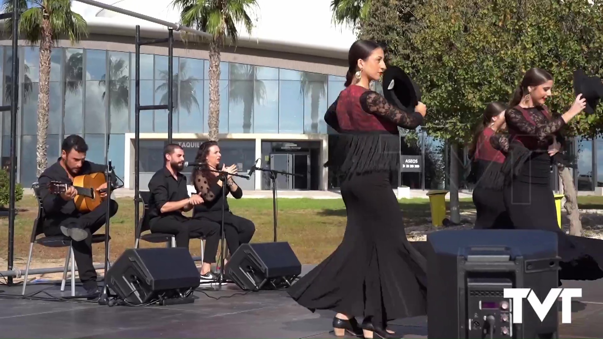 Imagen de Vuelve el Flamenco y sal 