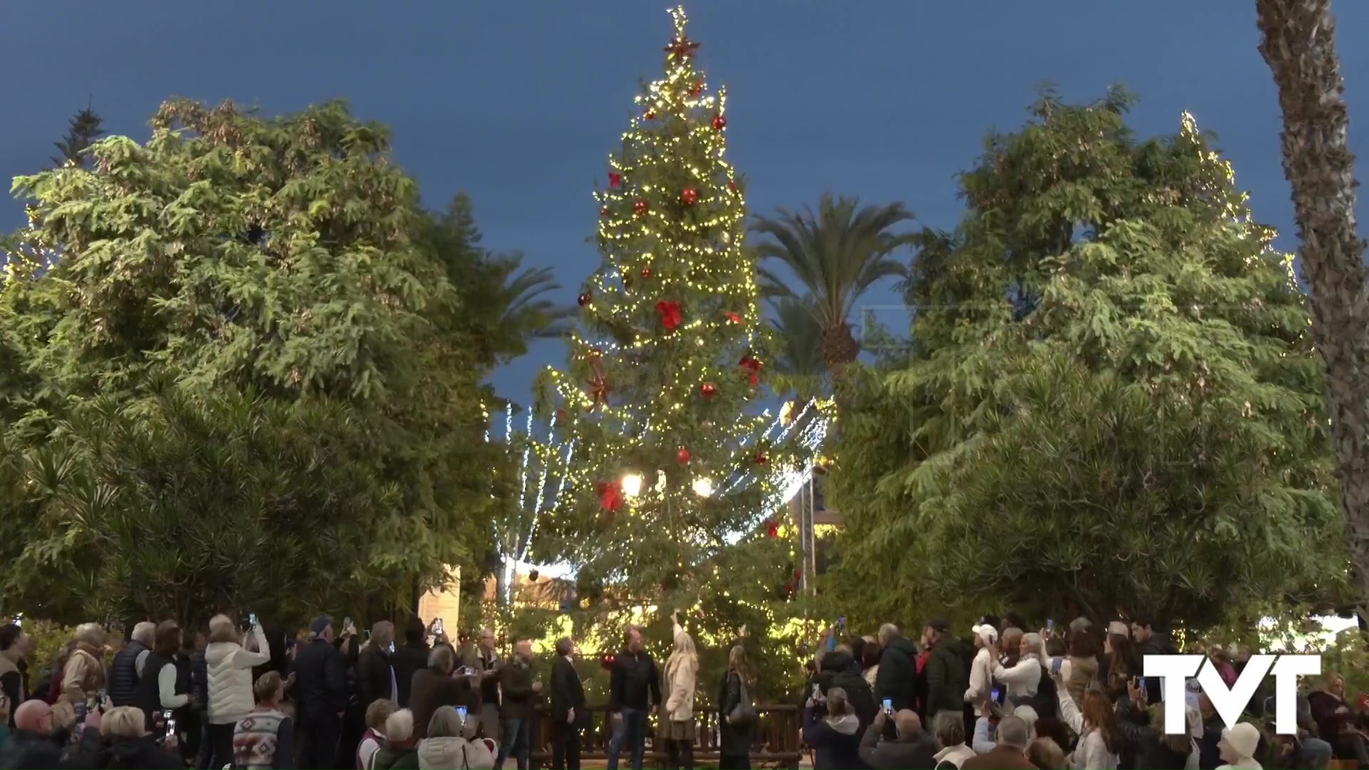 Imagen de El 1 de diciembre se realizará el encendido del árbol de Navidad procedente de Suecia 