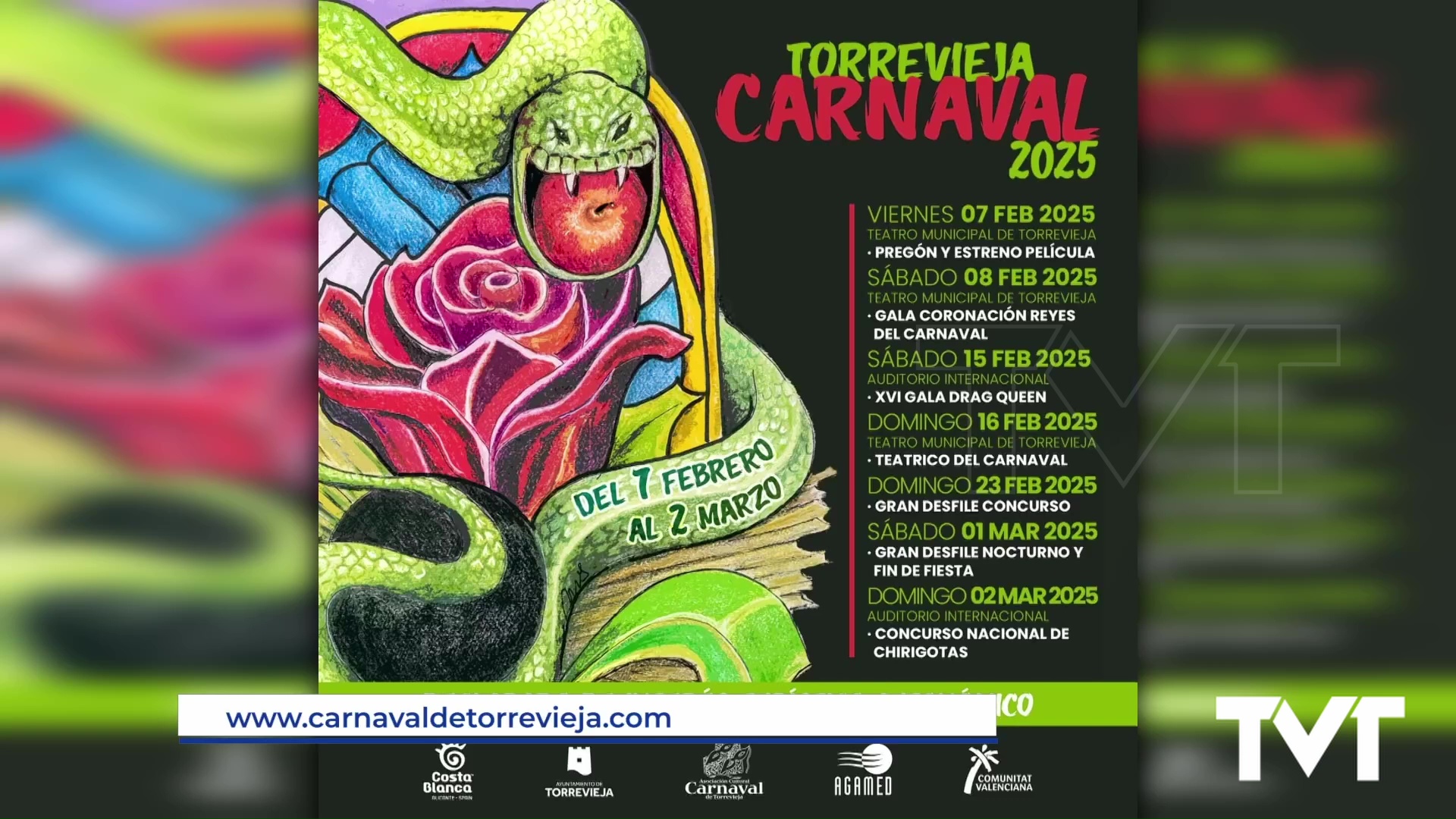 Imagen de Publicadas las bases y plazo de inscripciones para los concursos del Carnaval de Torrevieja 2025 
