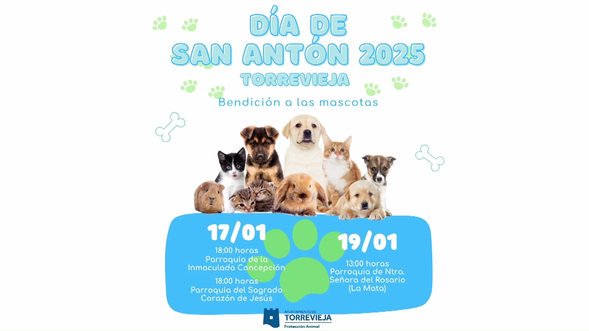 Imagen de Bendición de animales el día de San Antón