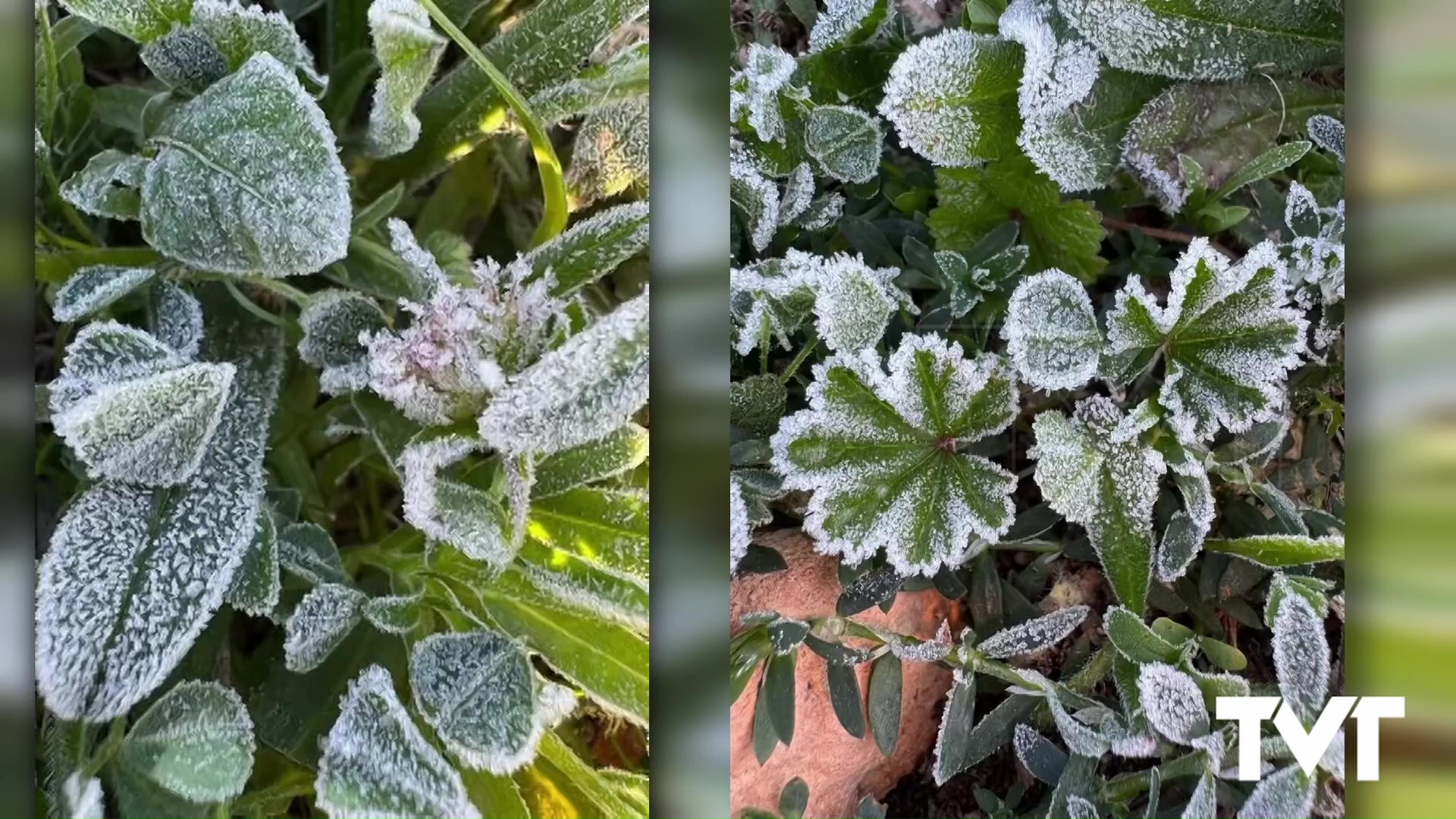 Imagen de Hacía mucho tiempo que no hacía tanto frío en Torrevieja. Los Balcones ha registrado 0,1 º C