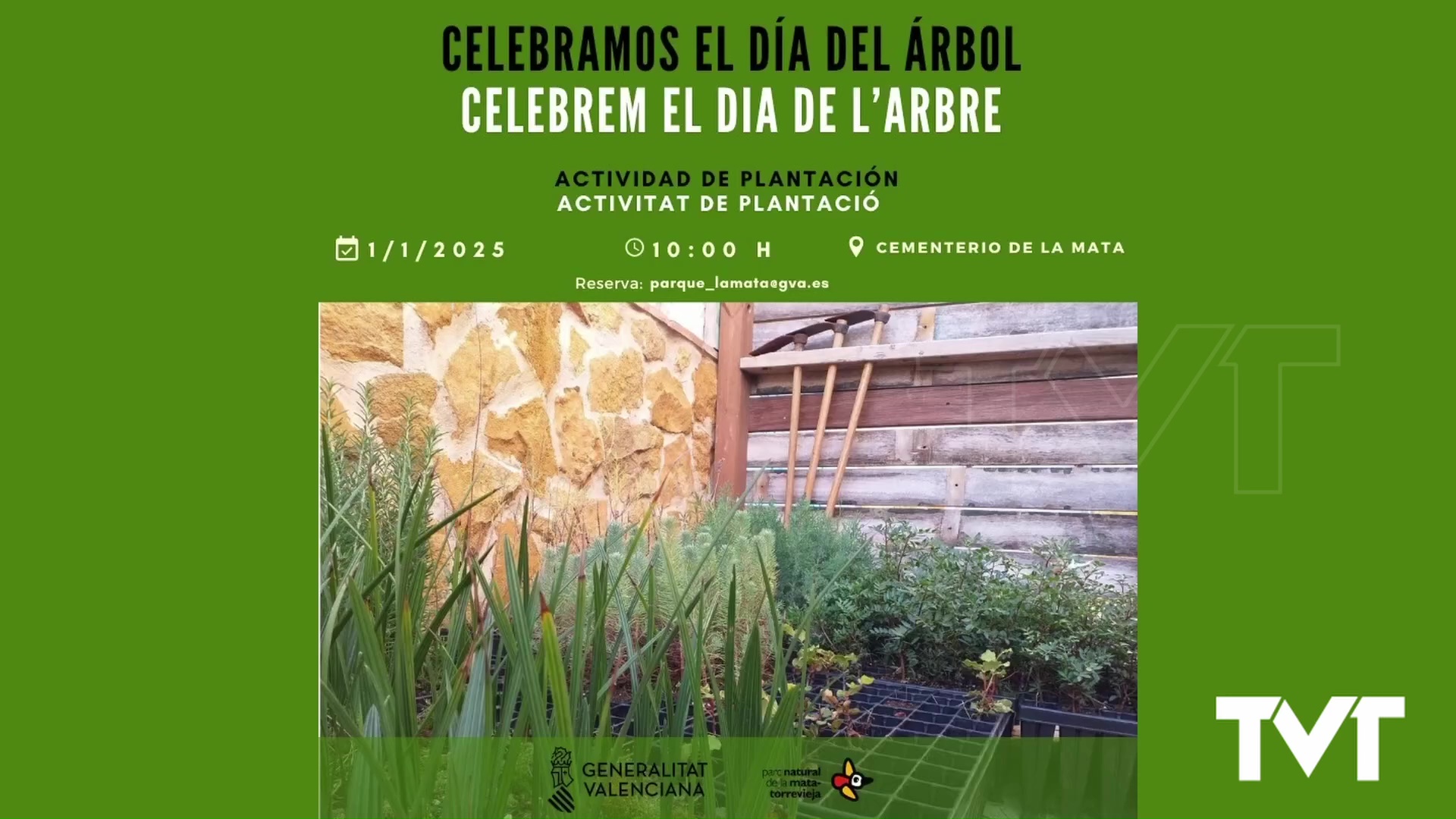 Imagen de El parque natural de La Mata y Torrevieja se suma a la conmemoración mundial del Día del árbol 