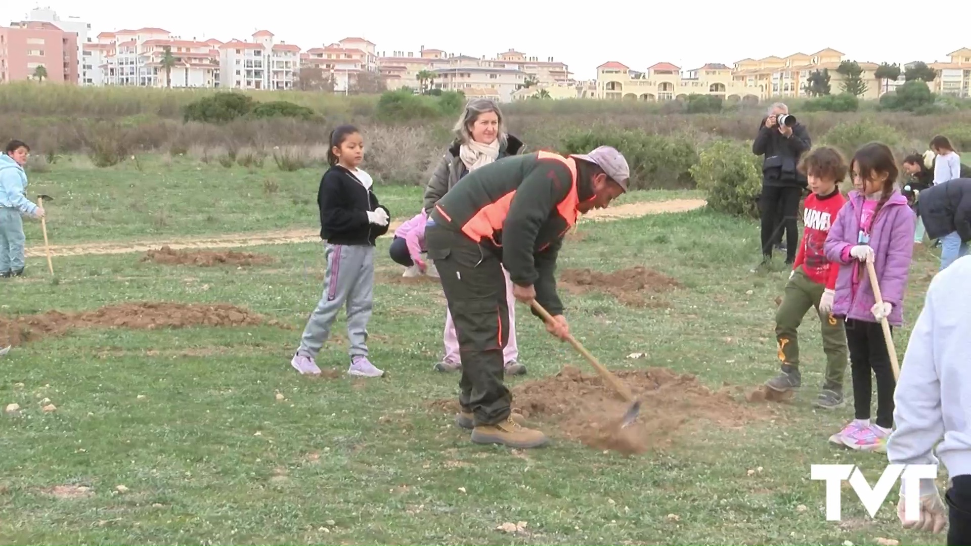 Imagen de 650 árboles y arbustos plantados en el Parque Natural durante 5 días por cerca de 1000 alumnos. Así se celebra el Día del Árbol en Torrevieja 
