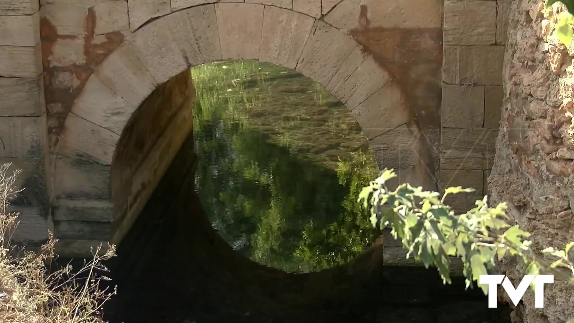 Imagen de El PSOE de Torrevieja presenta una moción para pedir la protección del canal del Acequión