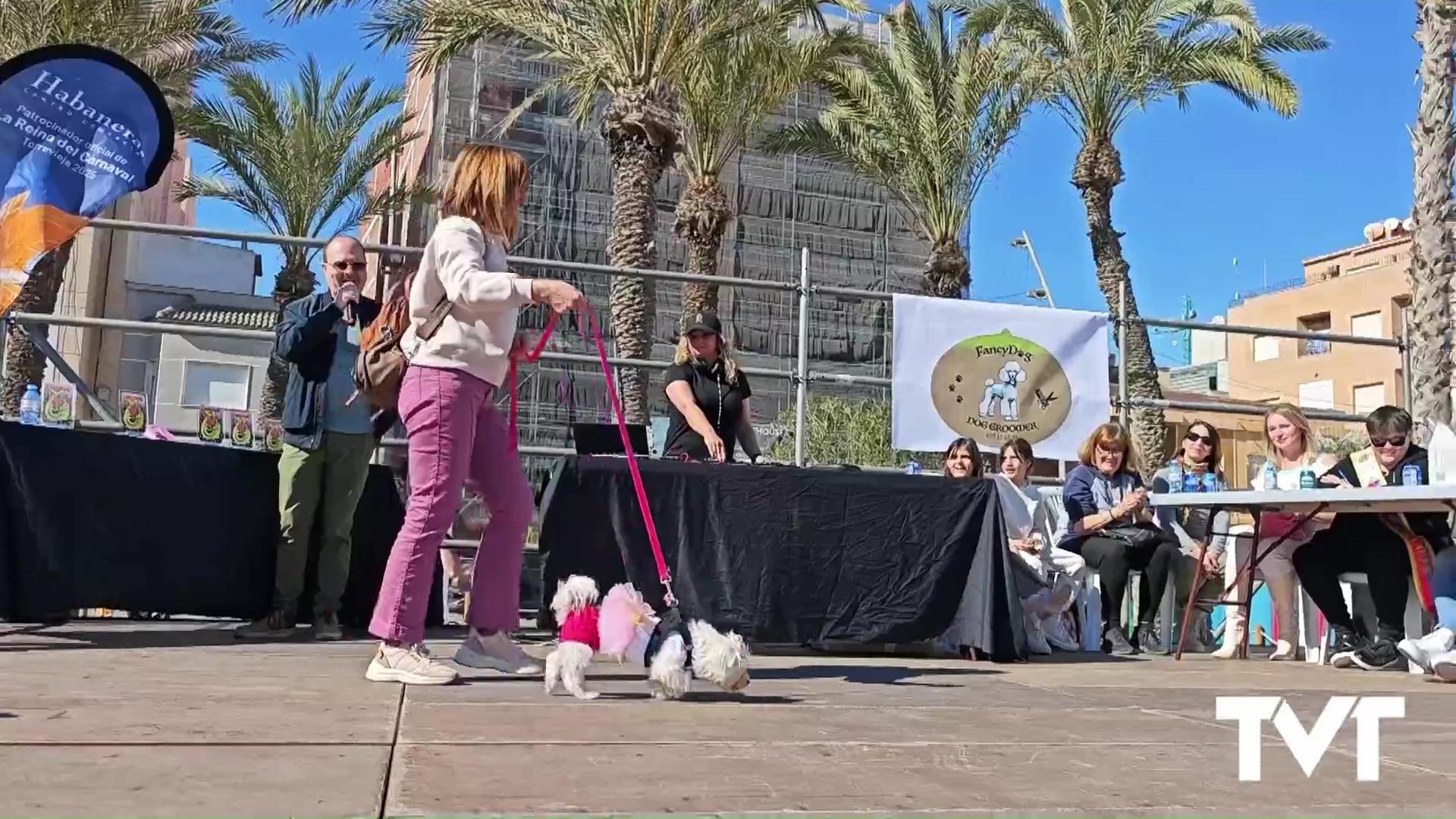 Imagen de Los animales protagonistas también en el Carnaval de Torrevieja