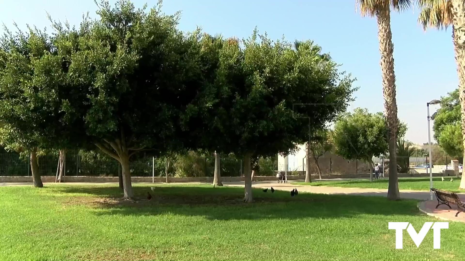 Imagen de El TACRC deniega las medidas cautelares de suspensión del contrato de parques y jardines que solicitaba una empresa 