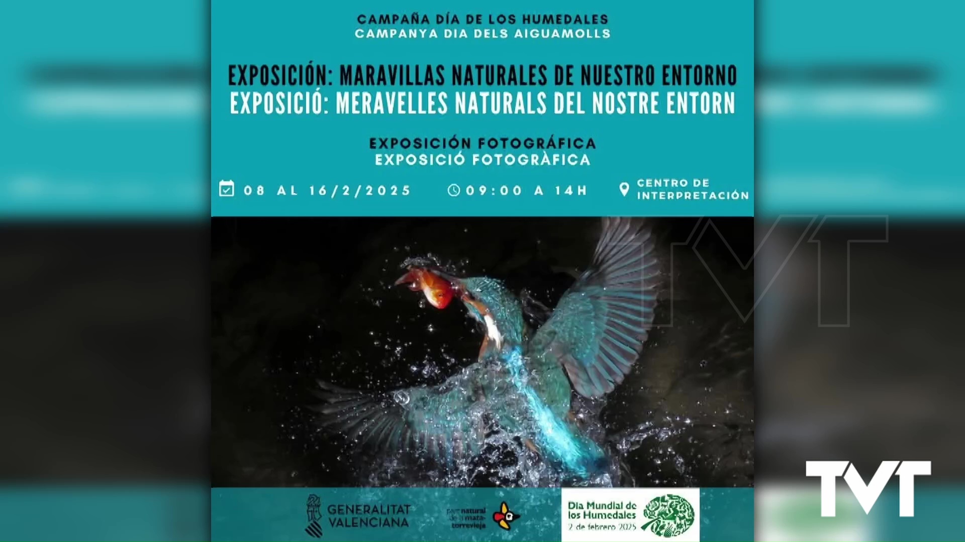 Imagen de Justo Ferrer presenta una exposición en el PN con motivo del Día Mundial de los Humedales 