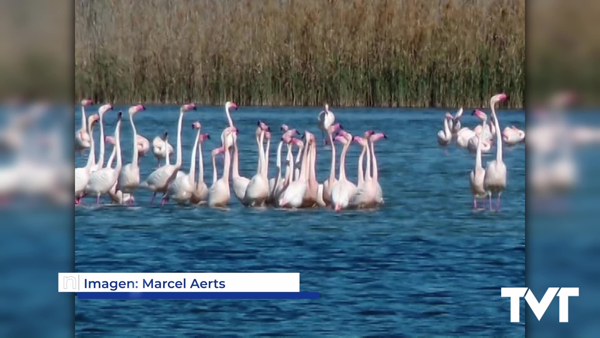 Imagen de Bellas estampas de la riqueza de fauna en nuestro parque natural