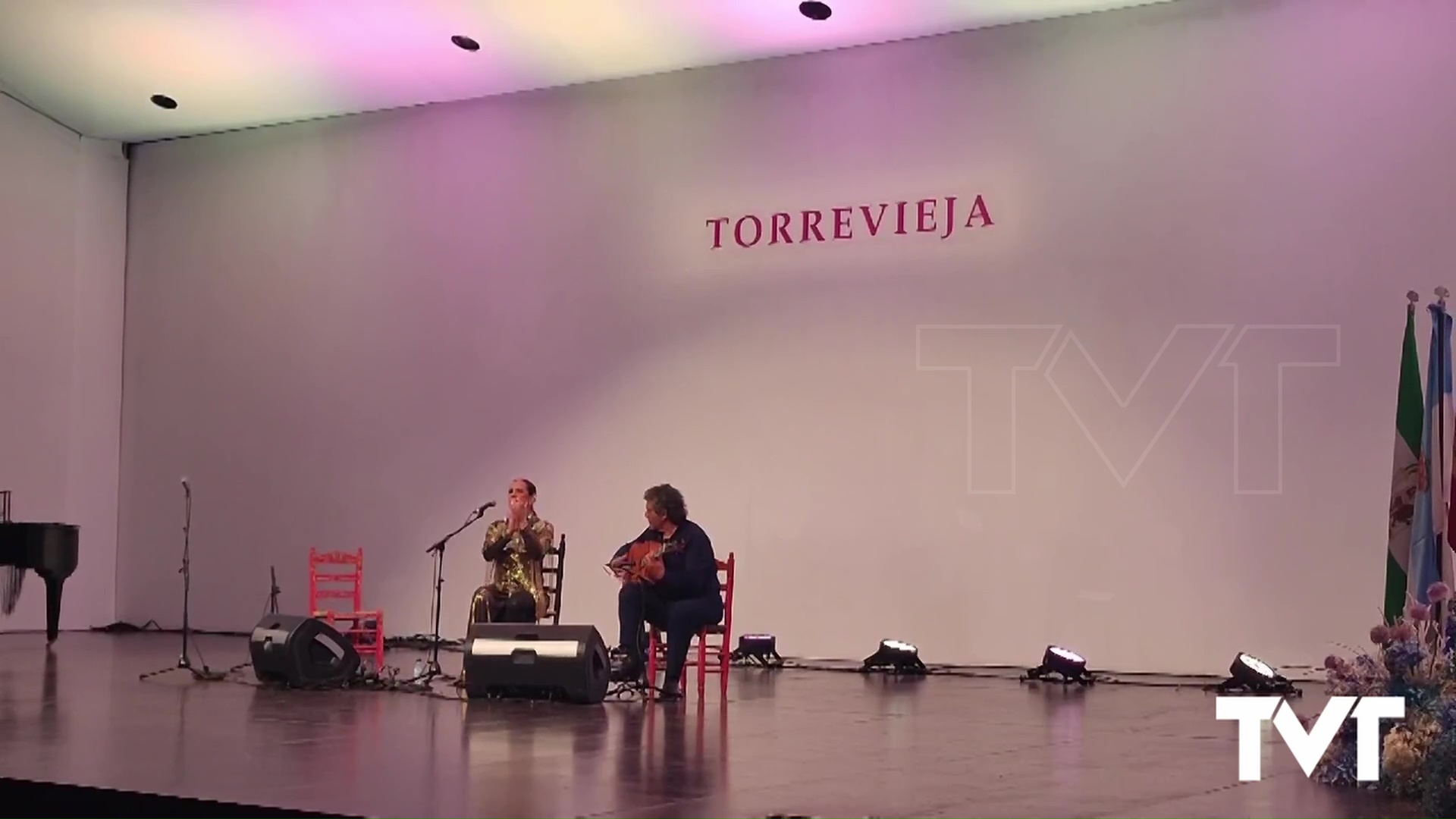 Imagen de Flamenco en estado puro