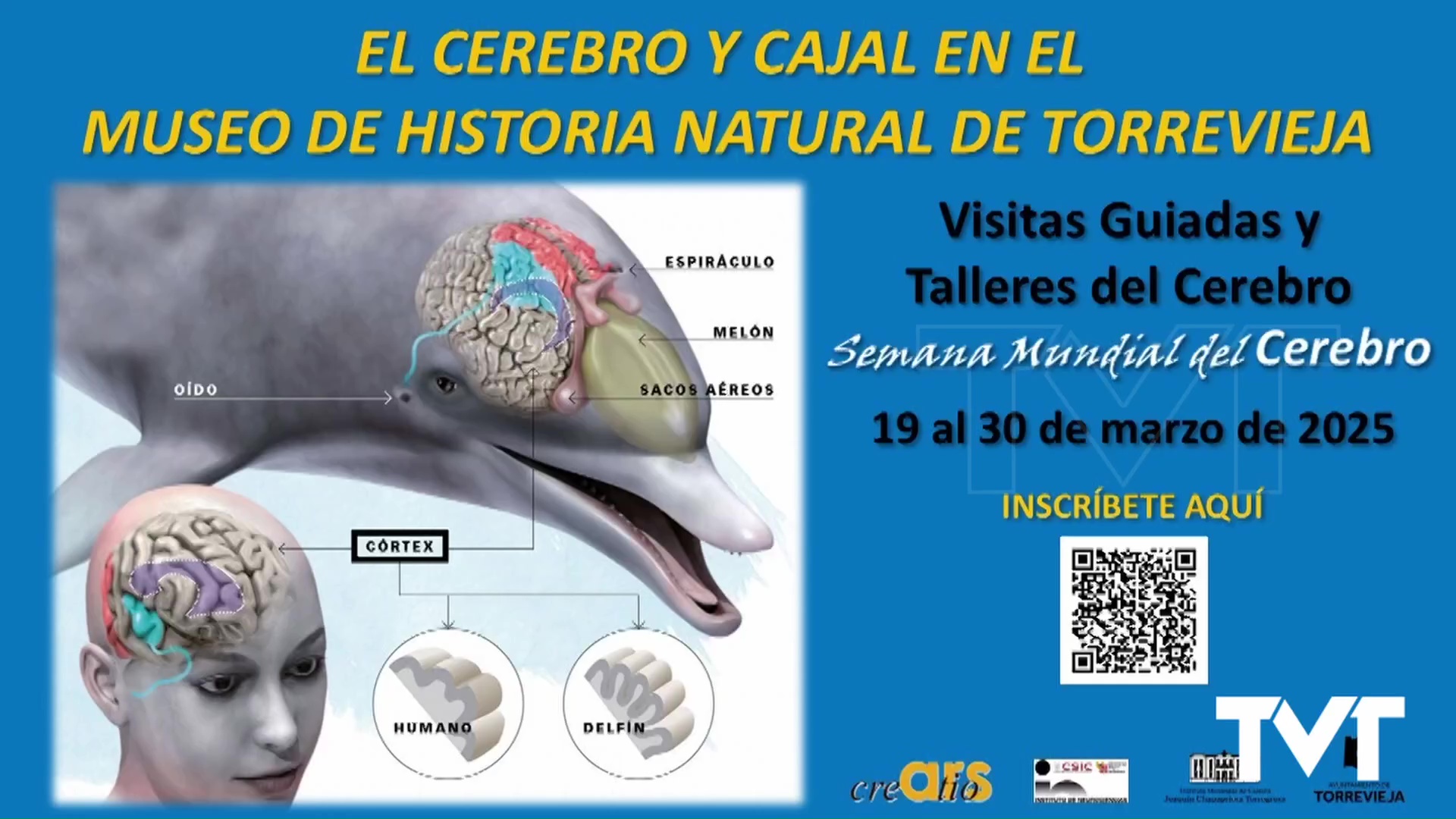 Imagen de Tercera edición de «El cerebro y Cajal en el Museo de Historia Natural» organizado por Ars Creatio 
