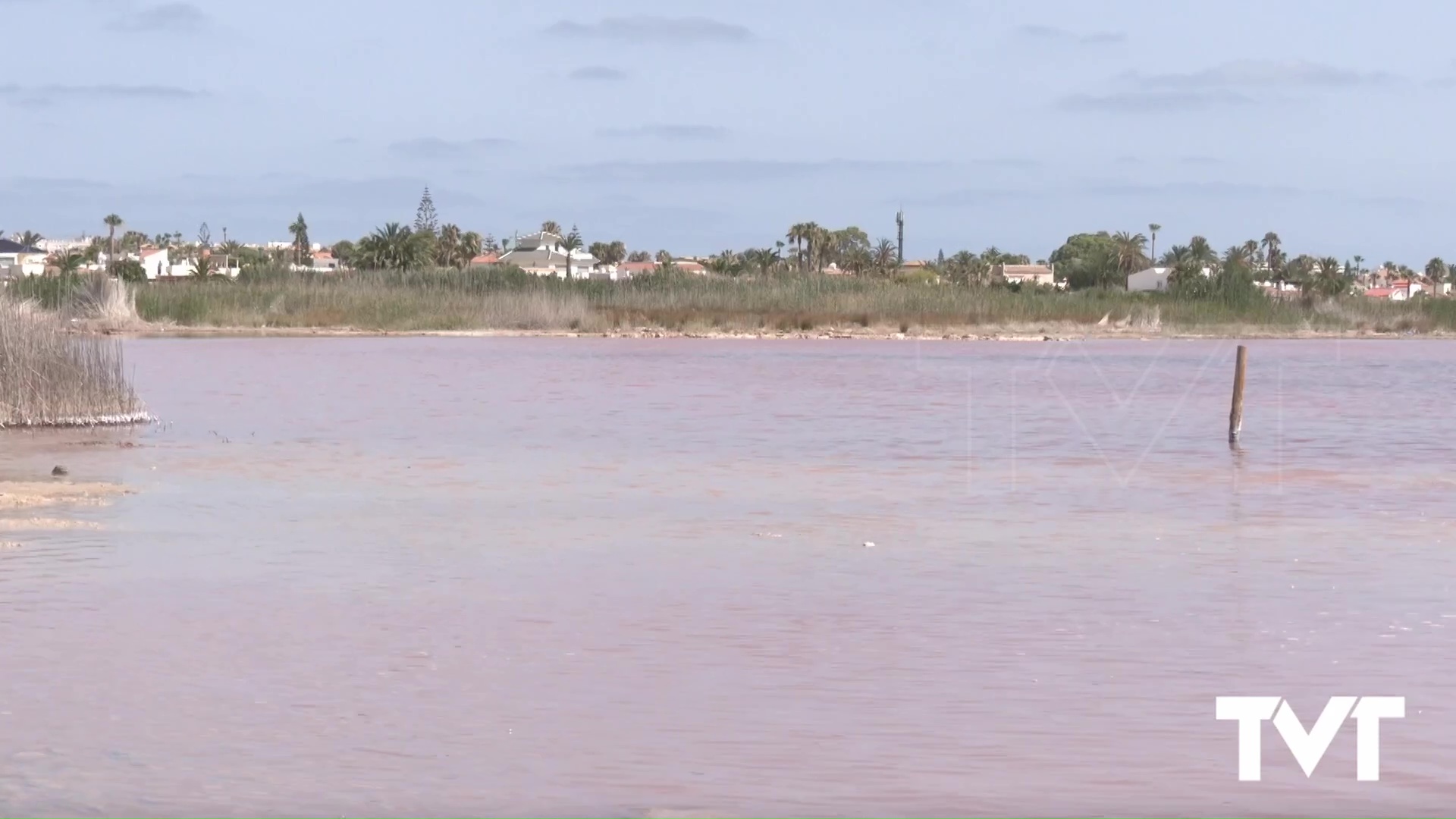 Imagen de Planes para la primavera en Torrevieja 