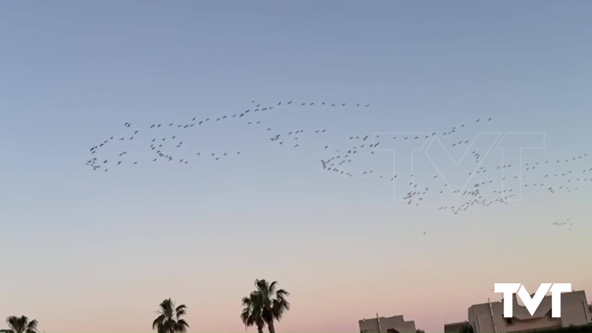 Imagen de Sobrevolando el cielo de Torrevieja