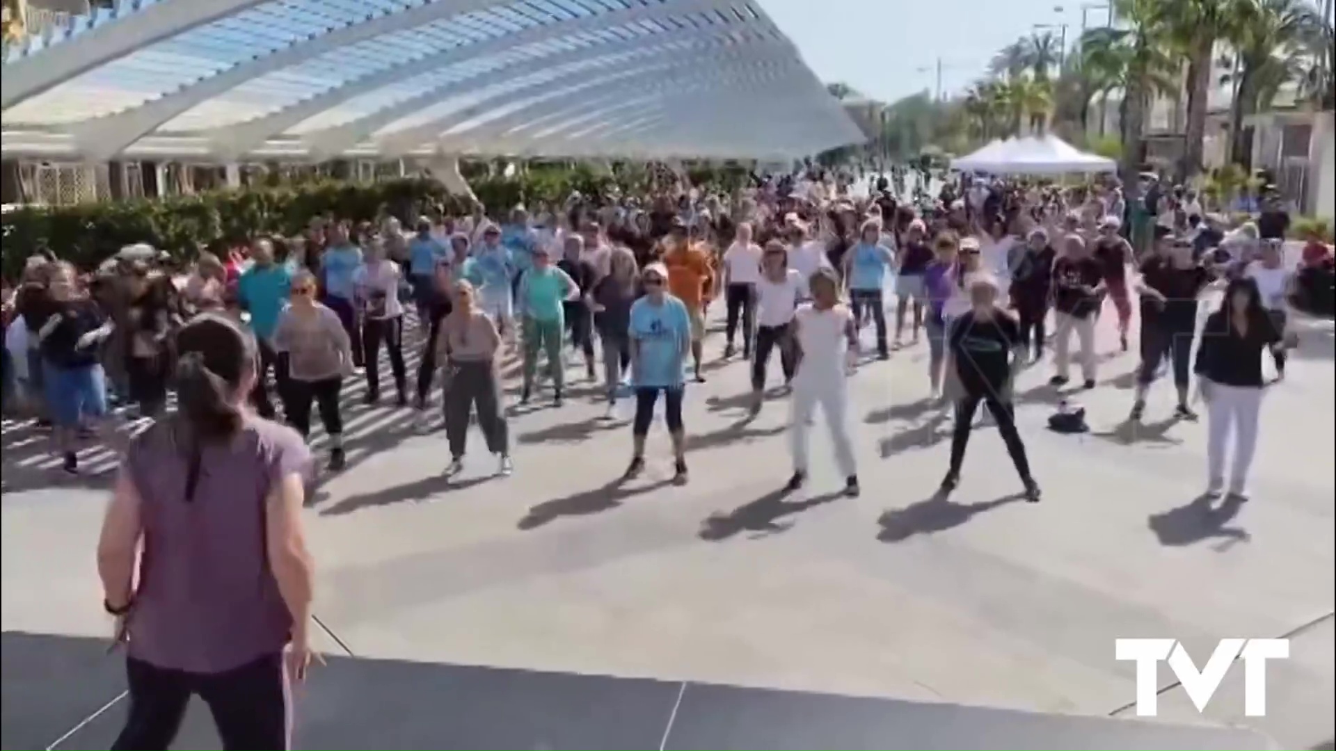 Imagen de La semana del mayor culmina con una gran fiesta en el Paseo Vista Alegre