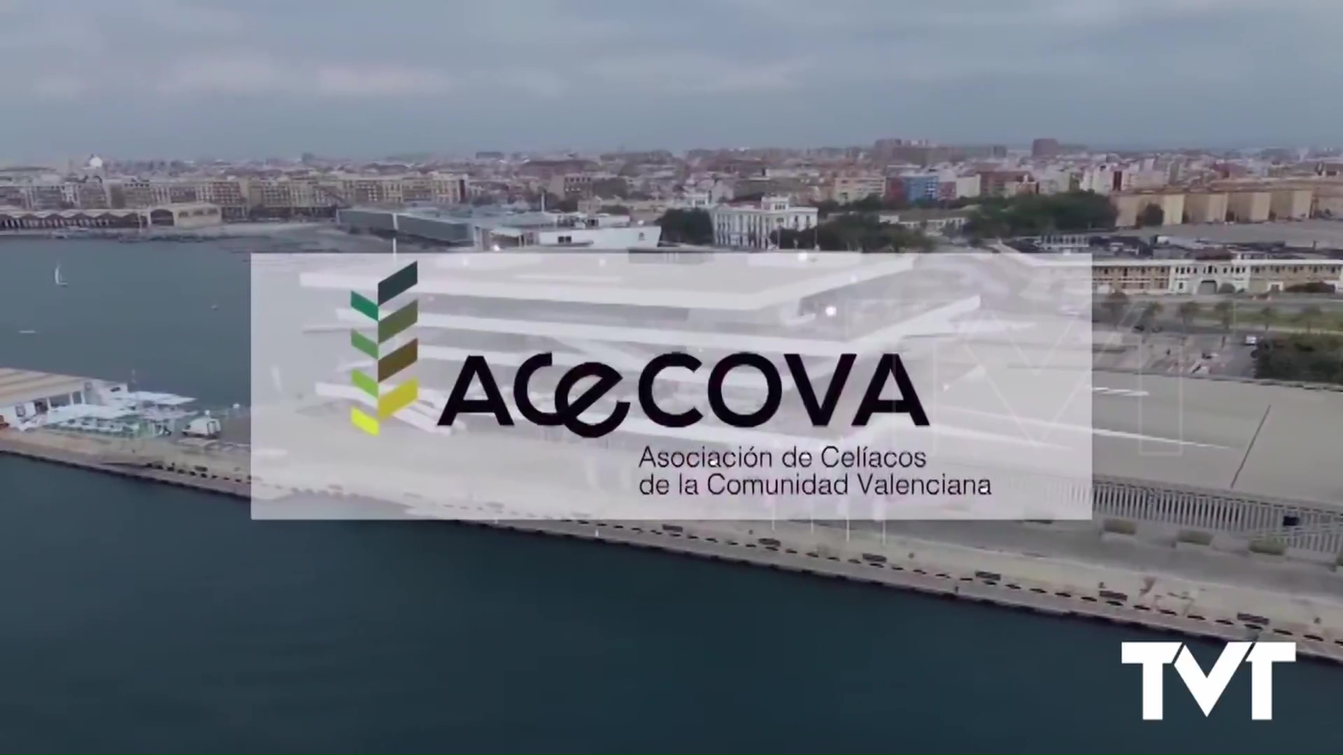 Imagen de Ayuntamientos km 0: la calidad de vida de las personas afectadas de enfermedad celíaca, una realidad posible en el ámbito municipal