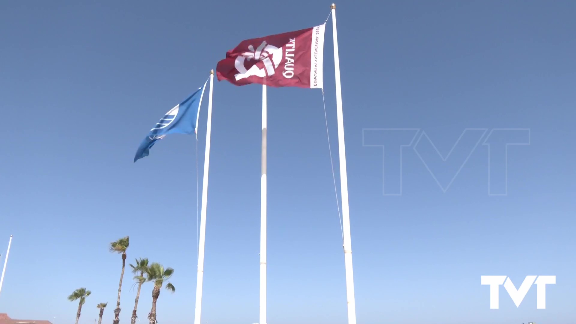 Imagen de Torrevieja renueva sus seis banderas azules en playas, 3 para puertos y dos reconocimientos Centro azul 