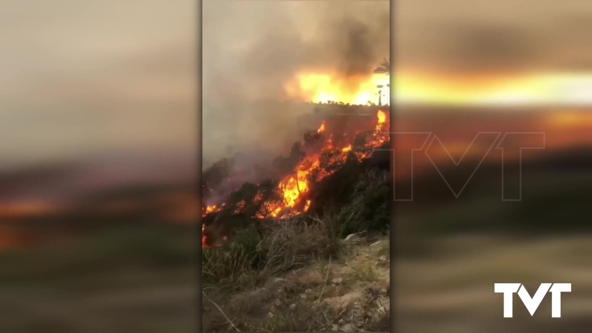 Imagen de Gran despliegue de medios ante un incendio en una zona de arbolado de Orihuela Costa