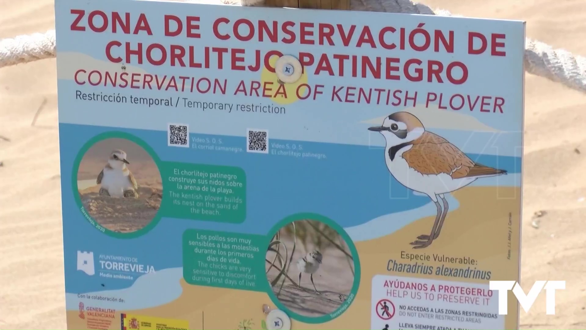 Imagen de Autorización para proteger con vallado al chorlitejo patinegro 