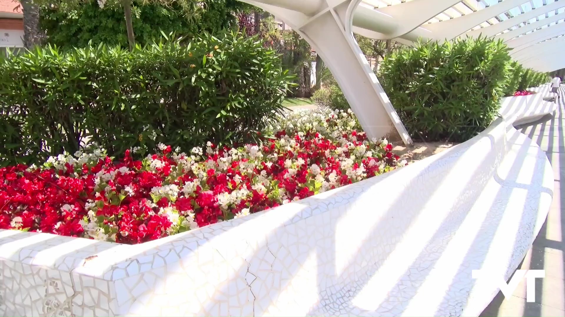 Imagen de Torrevieja se llena de color floral 