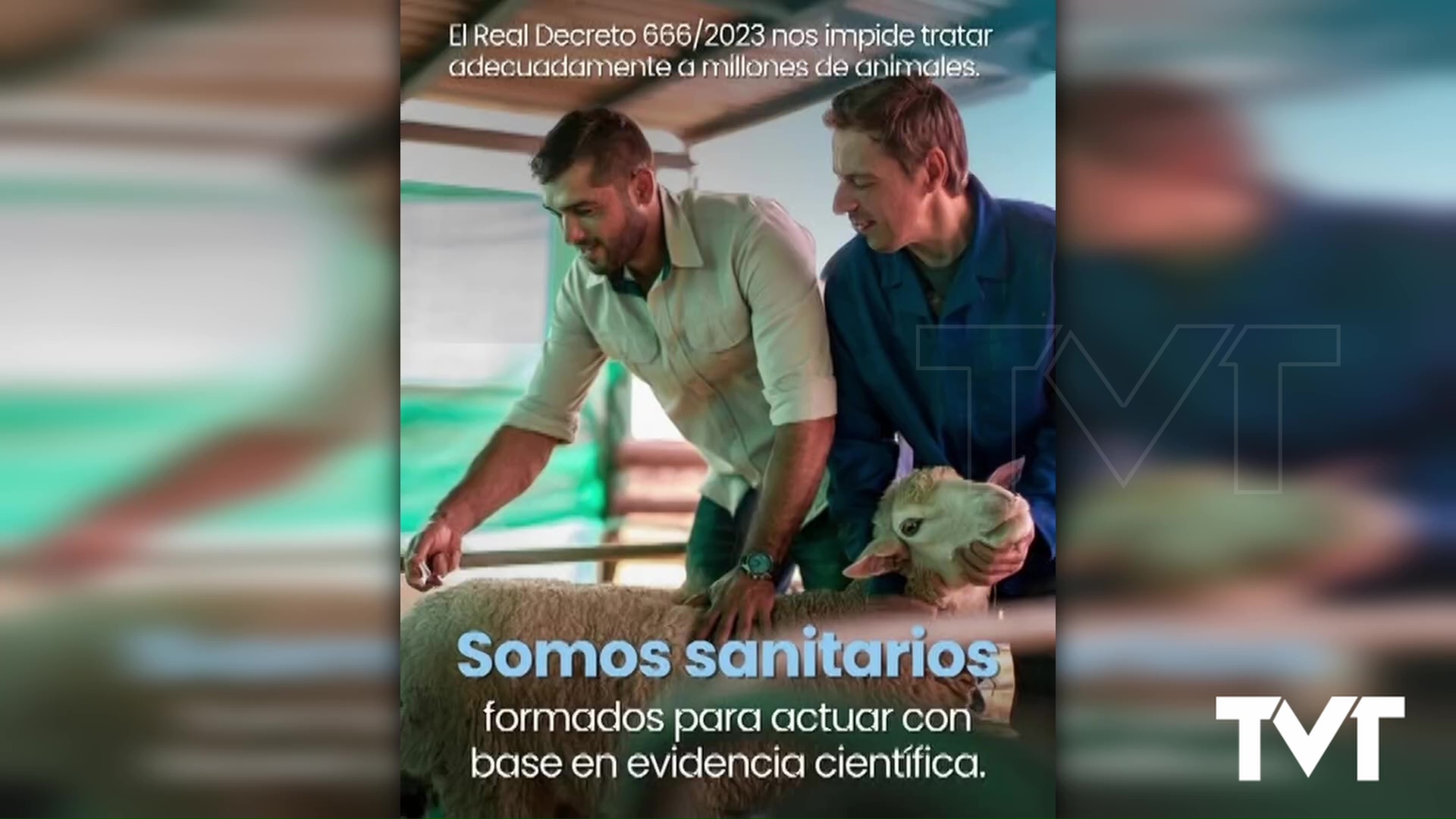 Imagen de Veterinarios de Torrevieja se suman a las reivindicaciones contra el decreto que restringe y pone en riesgo la salud de los animales 