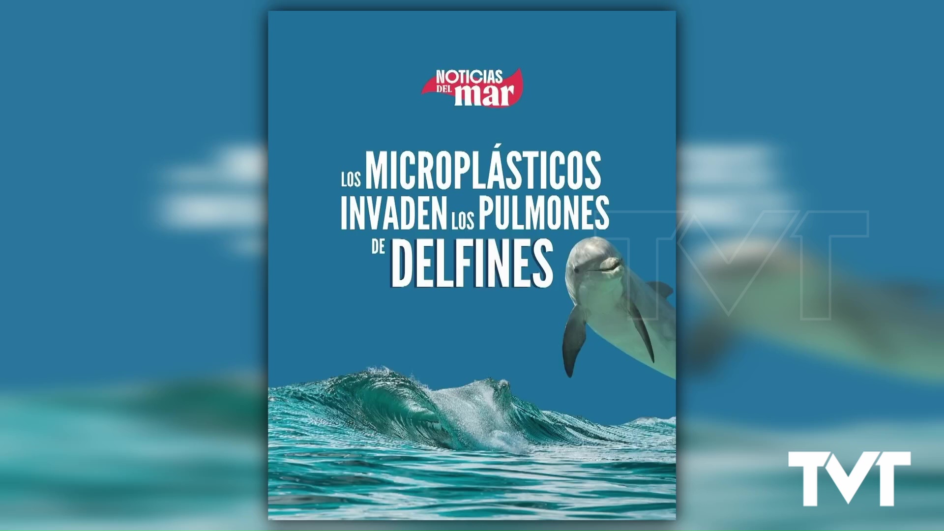 Imagen de Los microplásticos están invadiendo los pulmones de los delfines 