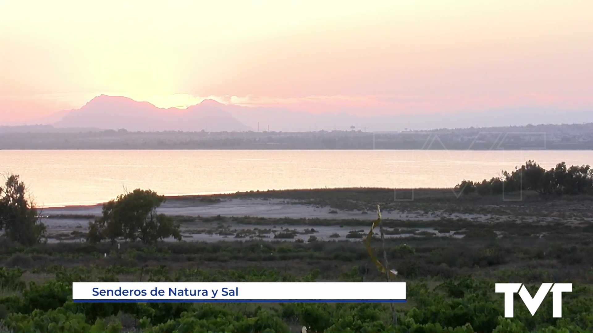 Imagen de Senderos de natura y sal o ruta guiada por el paraje natural municipal del Molino del Agua