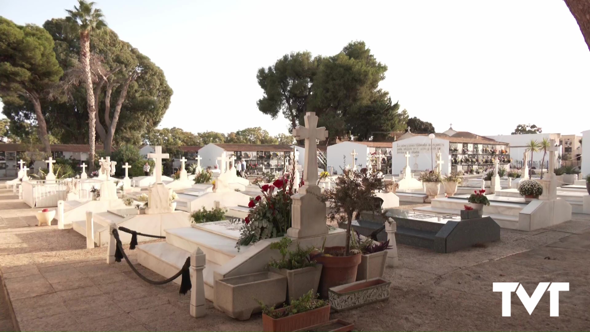 Imagen de Se somete a información pública el nuevo Plan Especial del cementerio de Torrevieja 