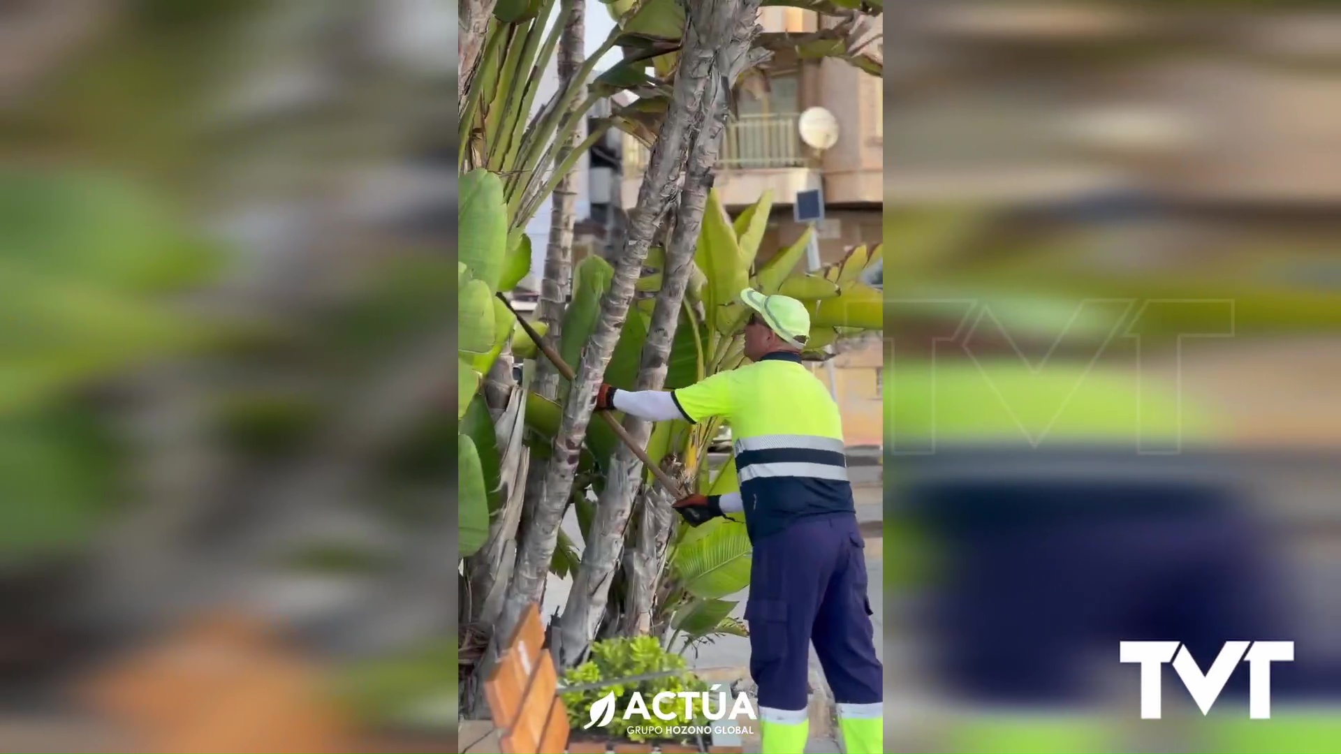 Imagen de La Concejalía de Parques y Jardines intensifica el acondicionamiento y limpieza de zonas verdes durante el verano