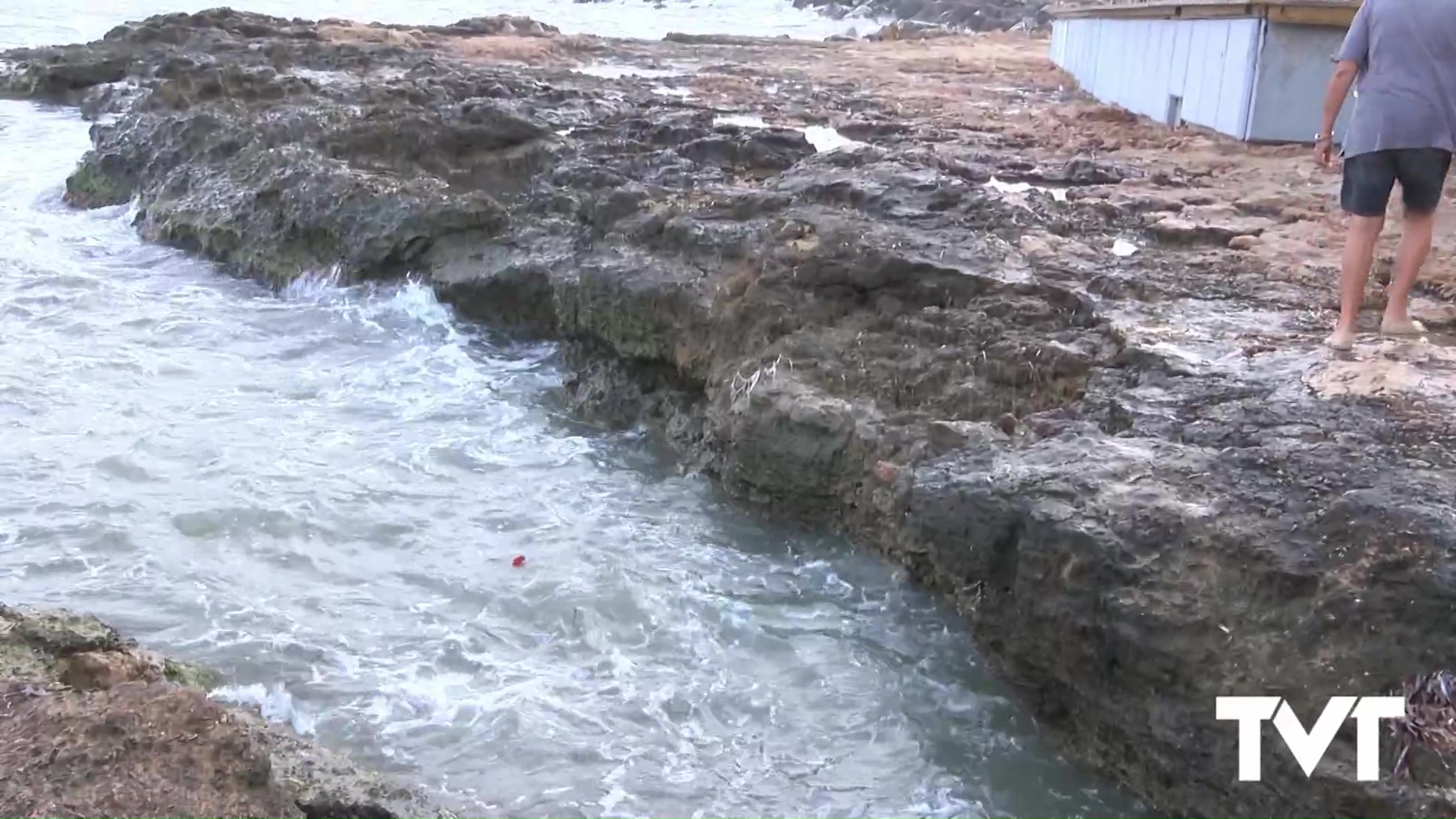 Imagen de Claveles al mar en recuerdo a las víctimas mortales del bombardeo de 1938
