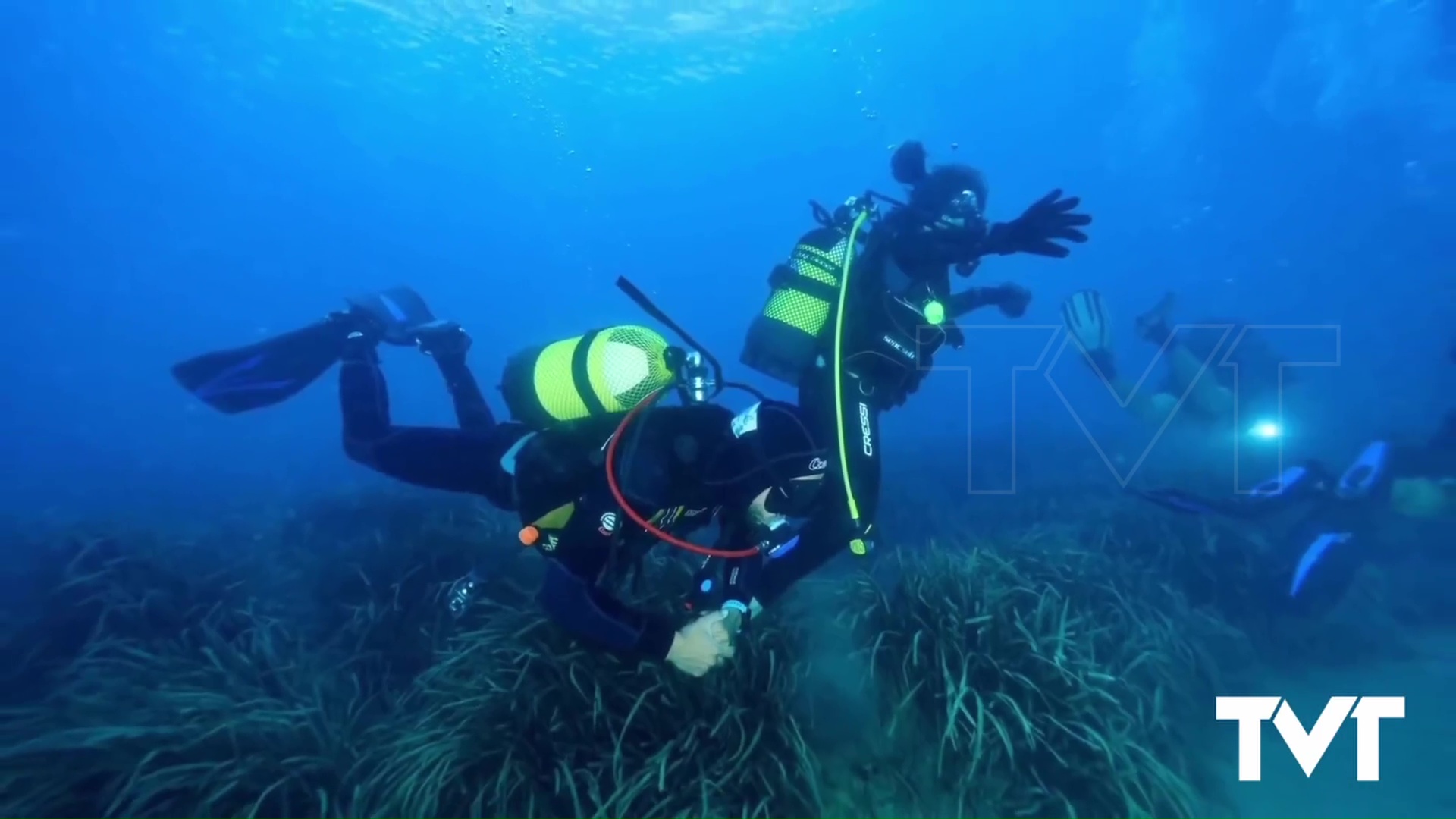 Imagen de Gran limpieza de fondos marinos. Kilos y kilos de basuraleza retirada de nuestra costa 