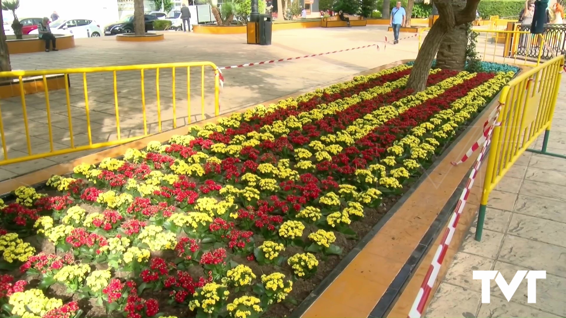 Imagen de La Plaza de la Constitución se llena de «Kalanchoes» para celebrar el Día de la Comunidad Valenciana y el Día de la Hispanidad
