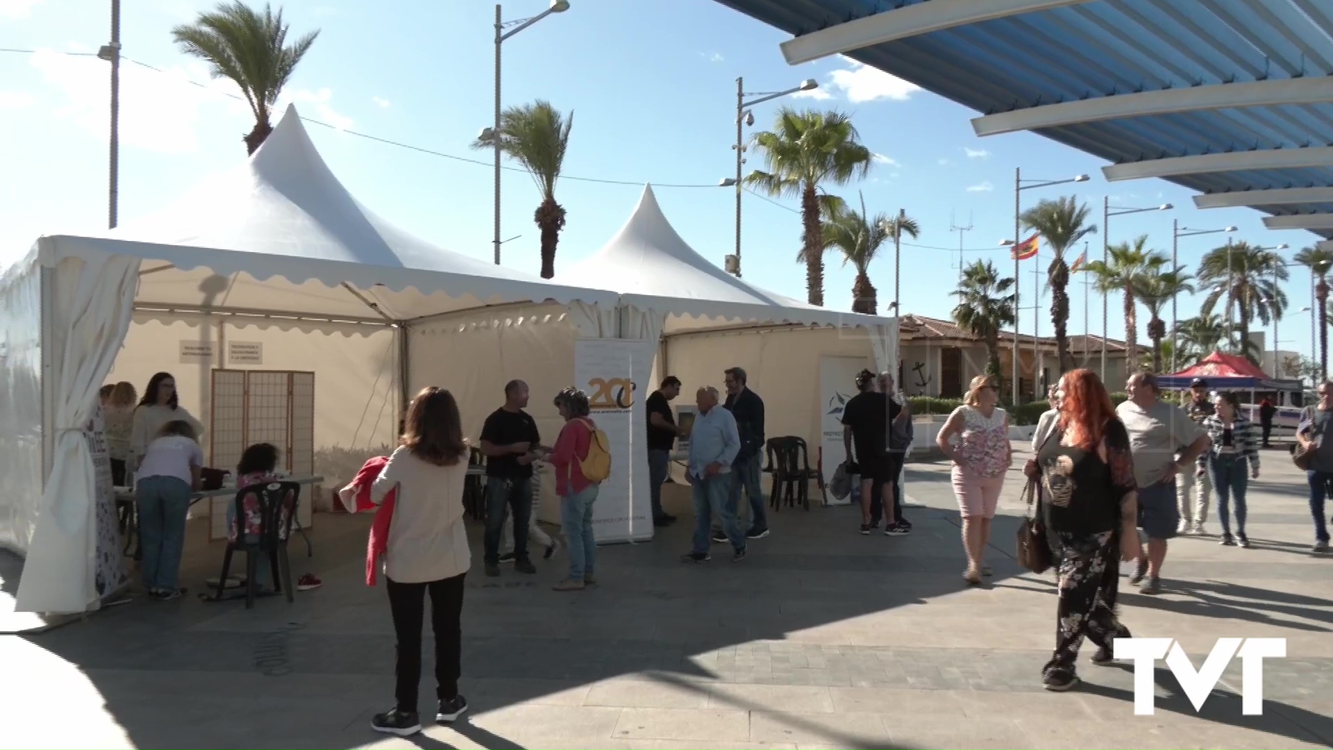 Imagen de Celebrada, con gran éxito, la feria «Un paseo por la ciencia» con la visita de 2.000 personas
