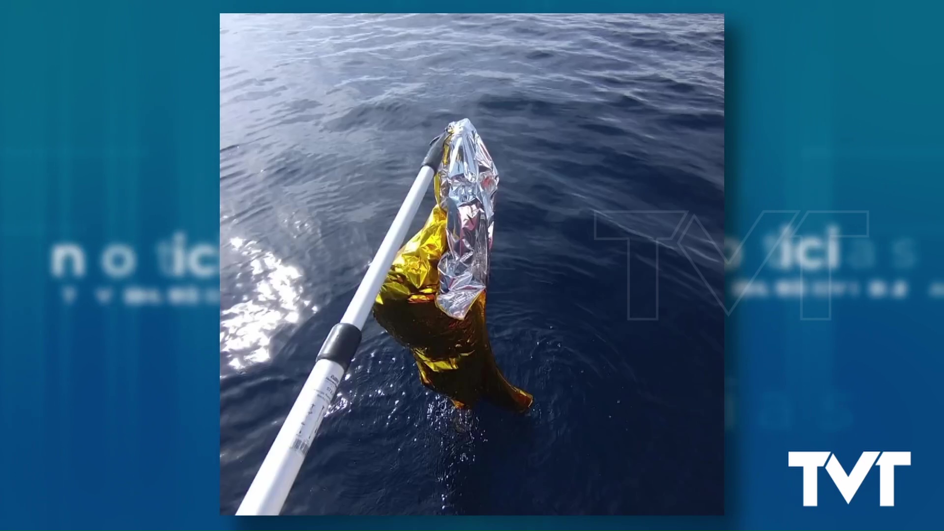 Imagen de Las graves consecuencias de la caída al mar de globos de helio