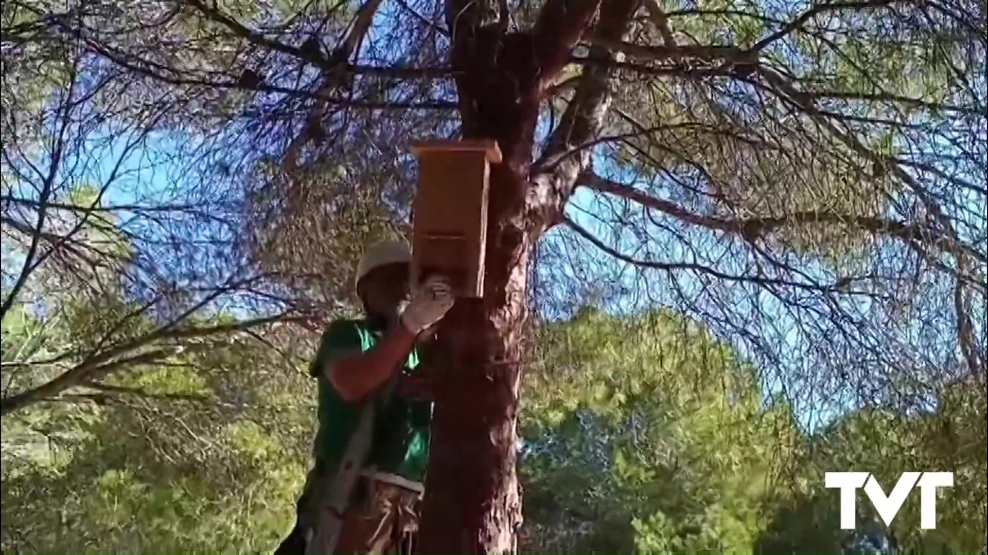 Imagen de Nuevos refugios artificiales para murciélagos son instalados en nuestro parque natural