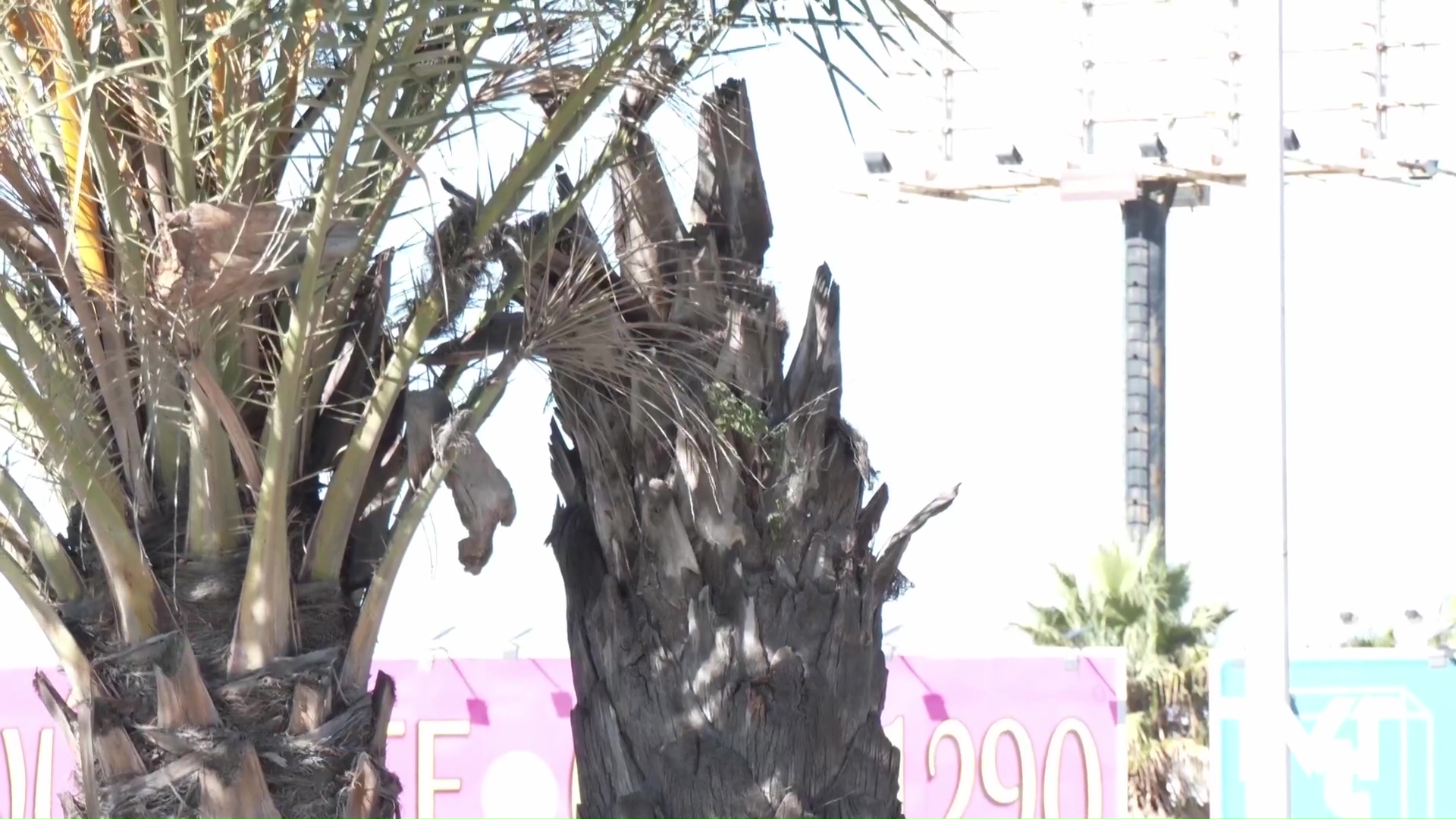 Imagen de El ayuntamiento solicita investigación por si se tuvieran que dirimir responsabilidades 