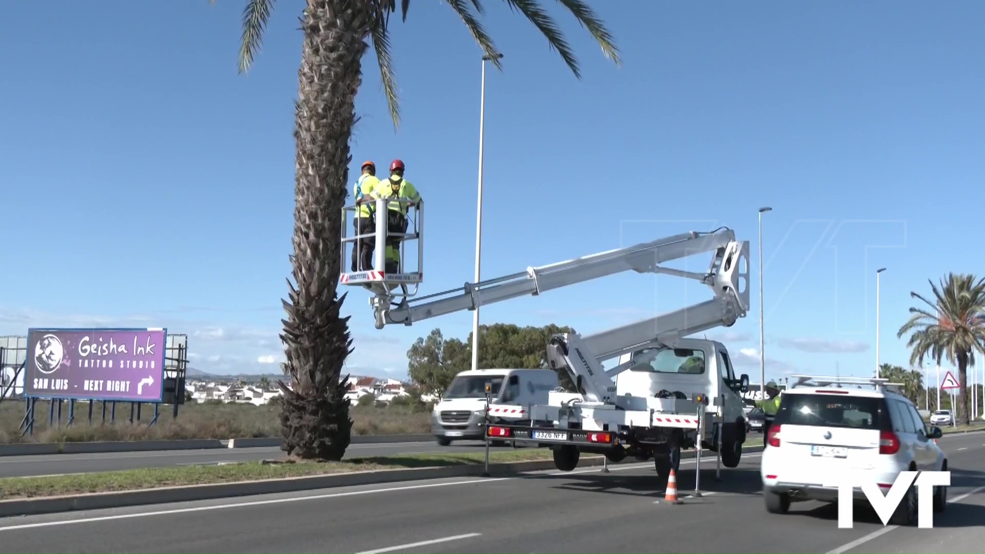 Imagen de Sueña Torrevieja pide que se establezca un plan permanente de prevención 