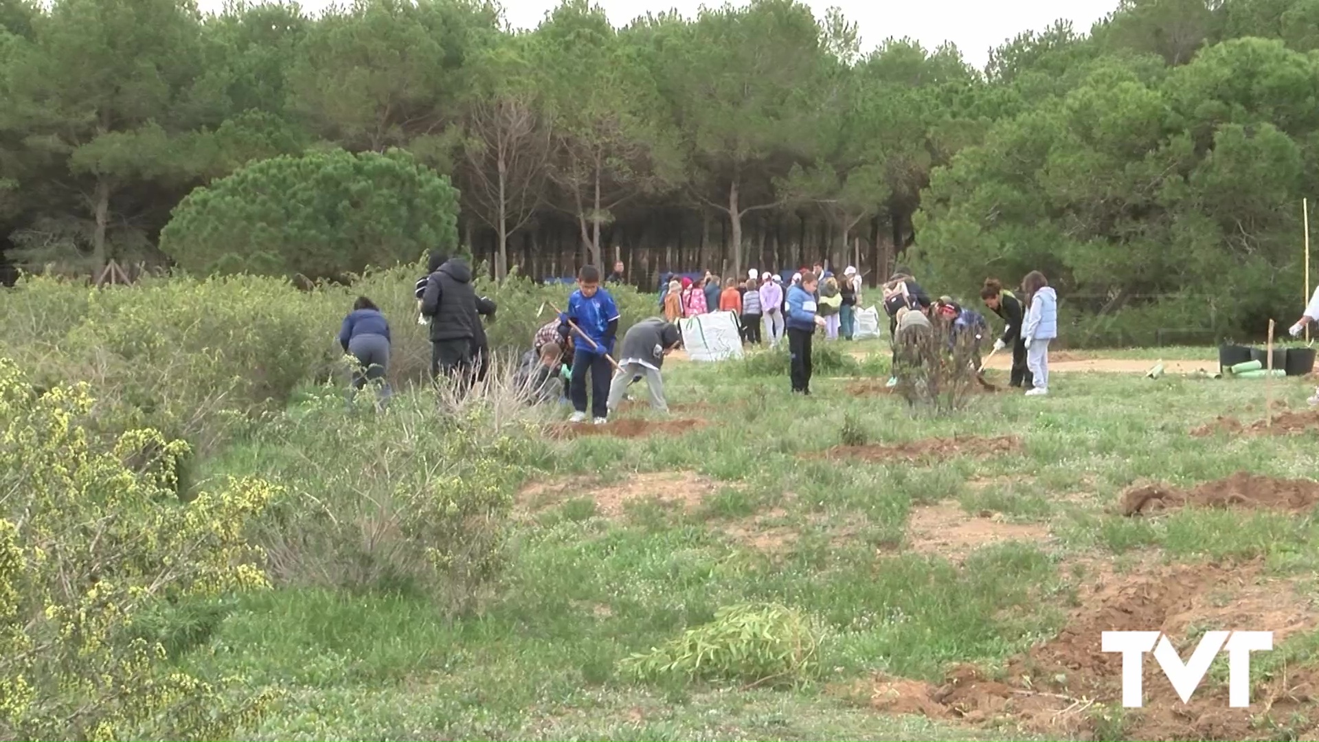 Imagen de Más de 1000 alumnos participarán en la plantación de 800 plantas, arbustos y árboles en una parcela que linda con el Parque Natural