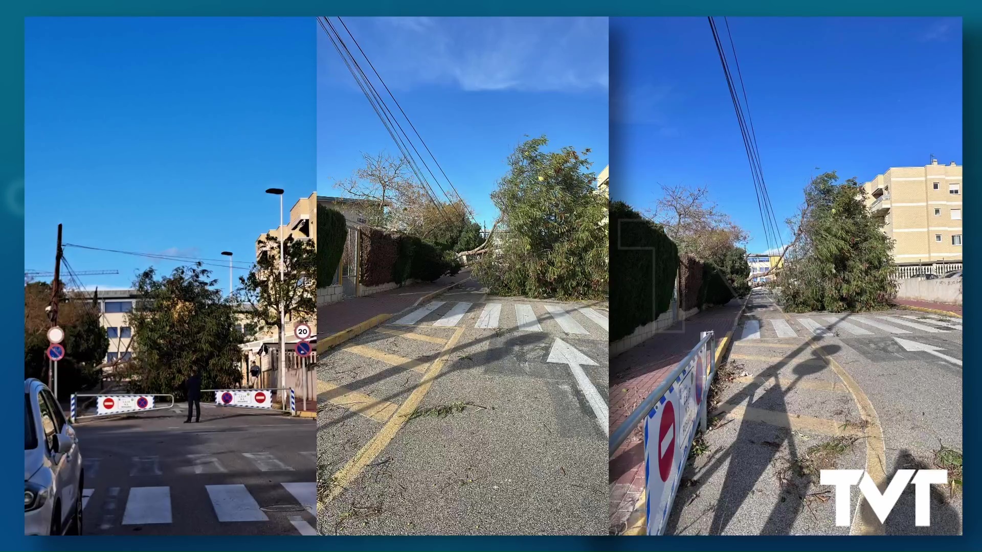 Imagen de Las consecuencias de una jornada donde las rachas de viento superaron los 100 Km/h