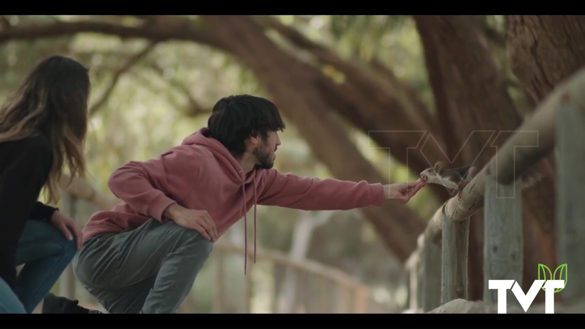 Imagen de El «Sendero del Mediterráneo» de la Vega Baja, premiado como el mejor de la Comunidad Valenciana