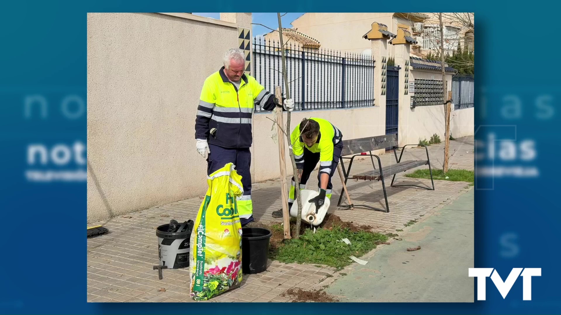 Imagen de Parques y Jardines realiza la plantación de cerca de medio centenar de árboles en las avenidas Delfina Viudes y Diego Ramírez