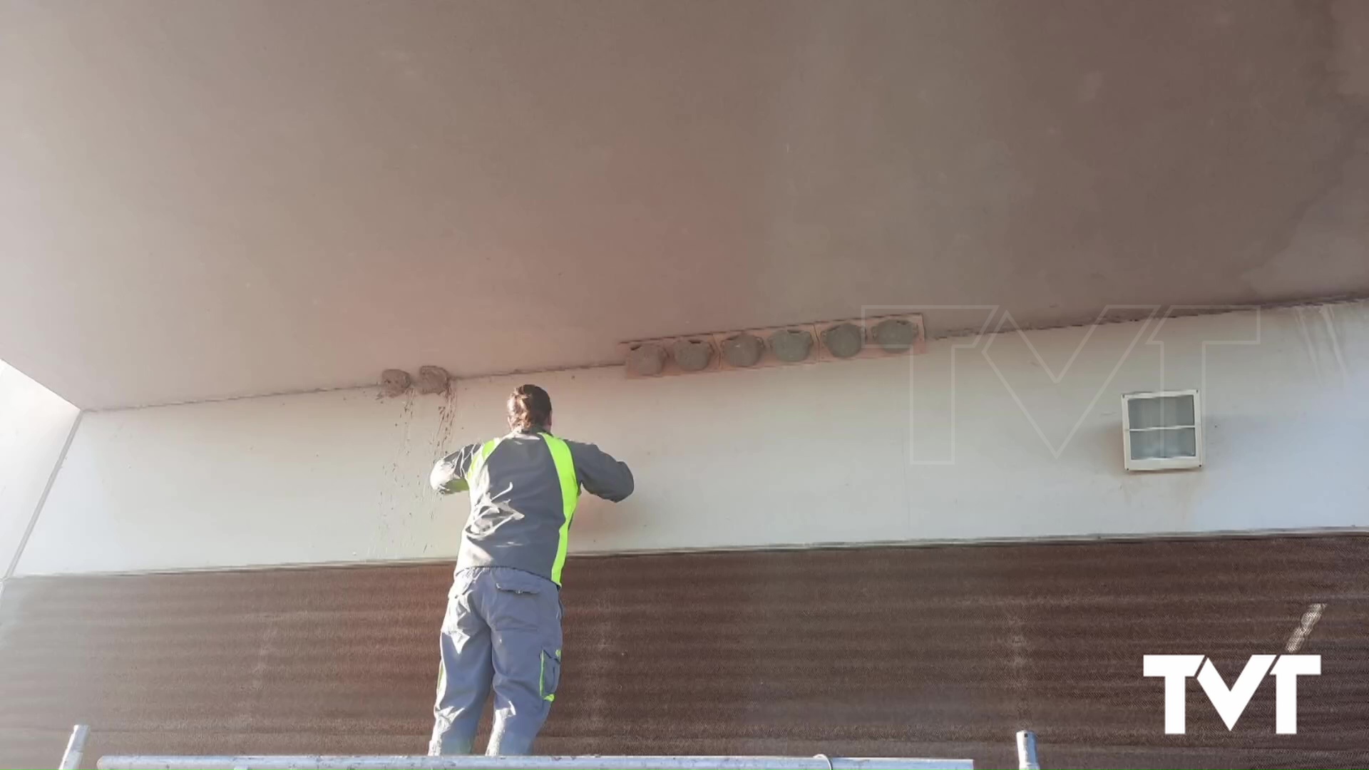 Imagen de Torrevieja instala nidos de avión común para el control natural de mosquitos