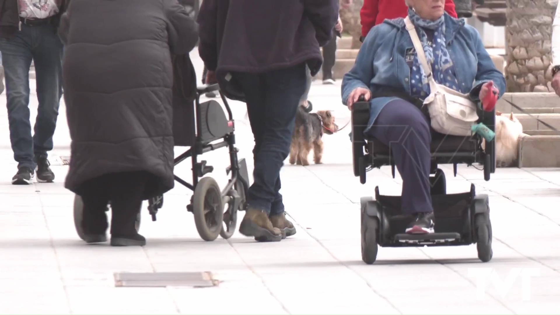 Imagen de Torrevieja contará en el curso 2026-2027 con un nuevo grado formativo de cuidadores de personas dependientes