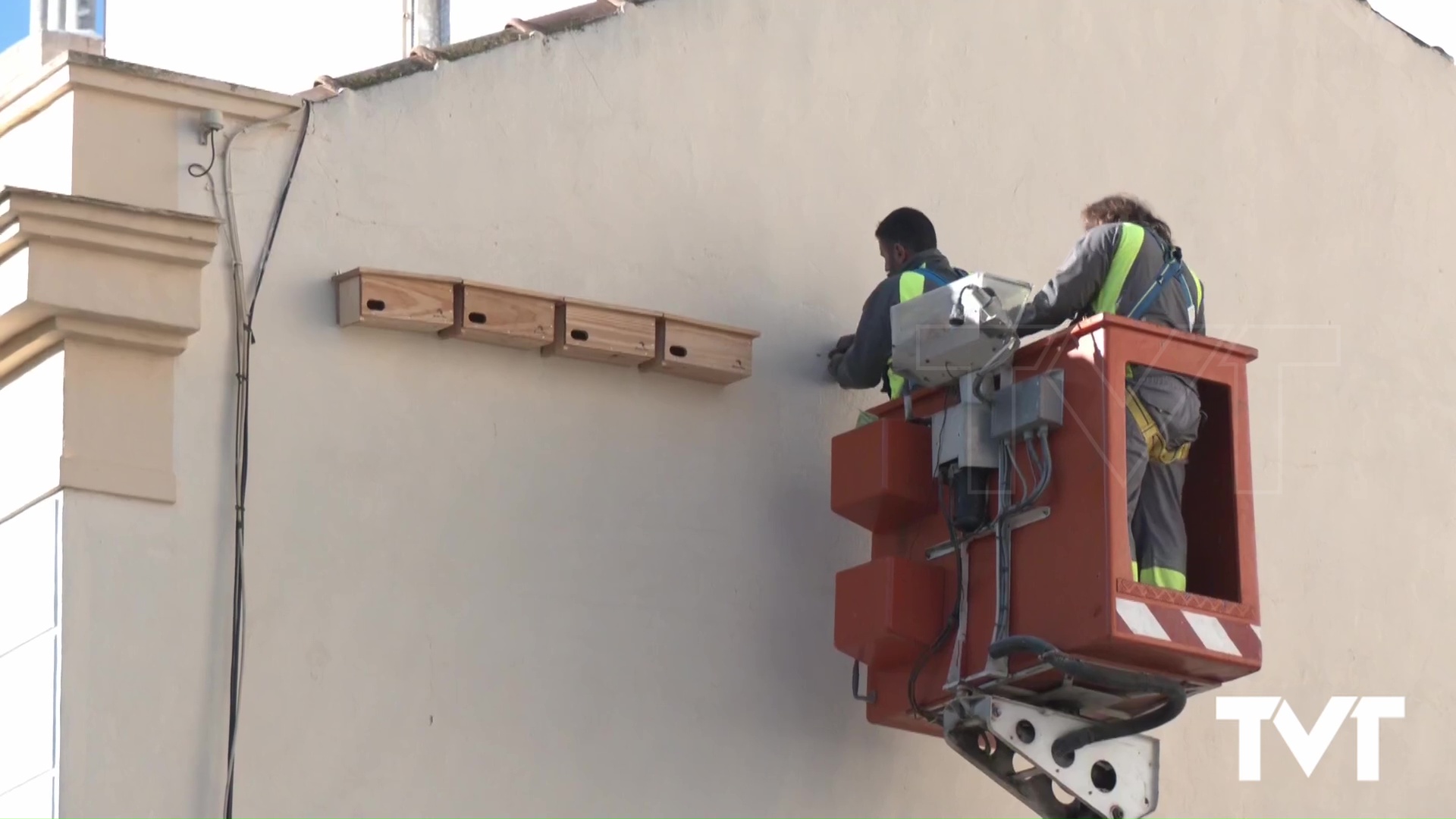 Imagen de Un control biológico y natural de insectos