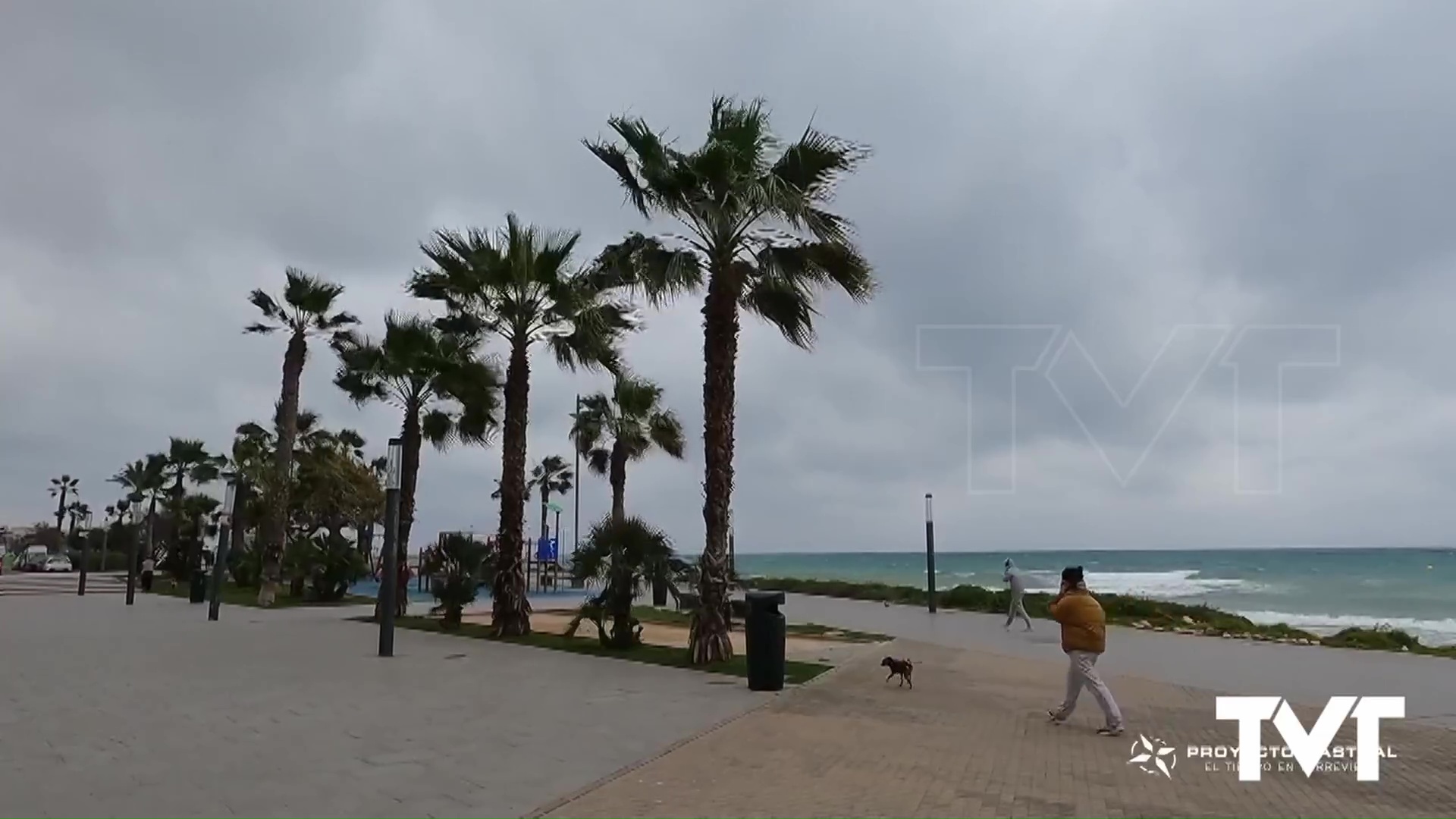 Imagen de El viento y la calima protagonistas de la situación meteorológica en Torrevieja