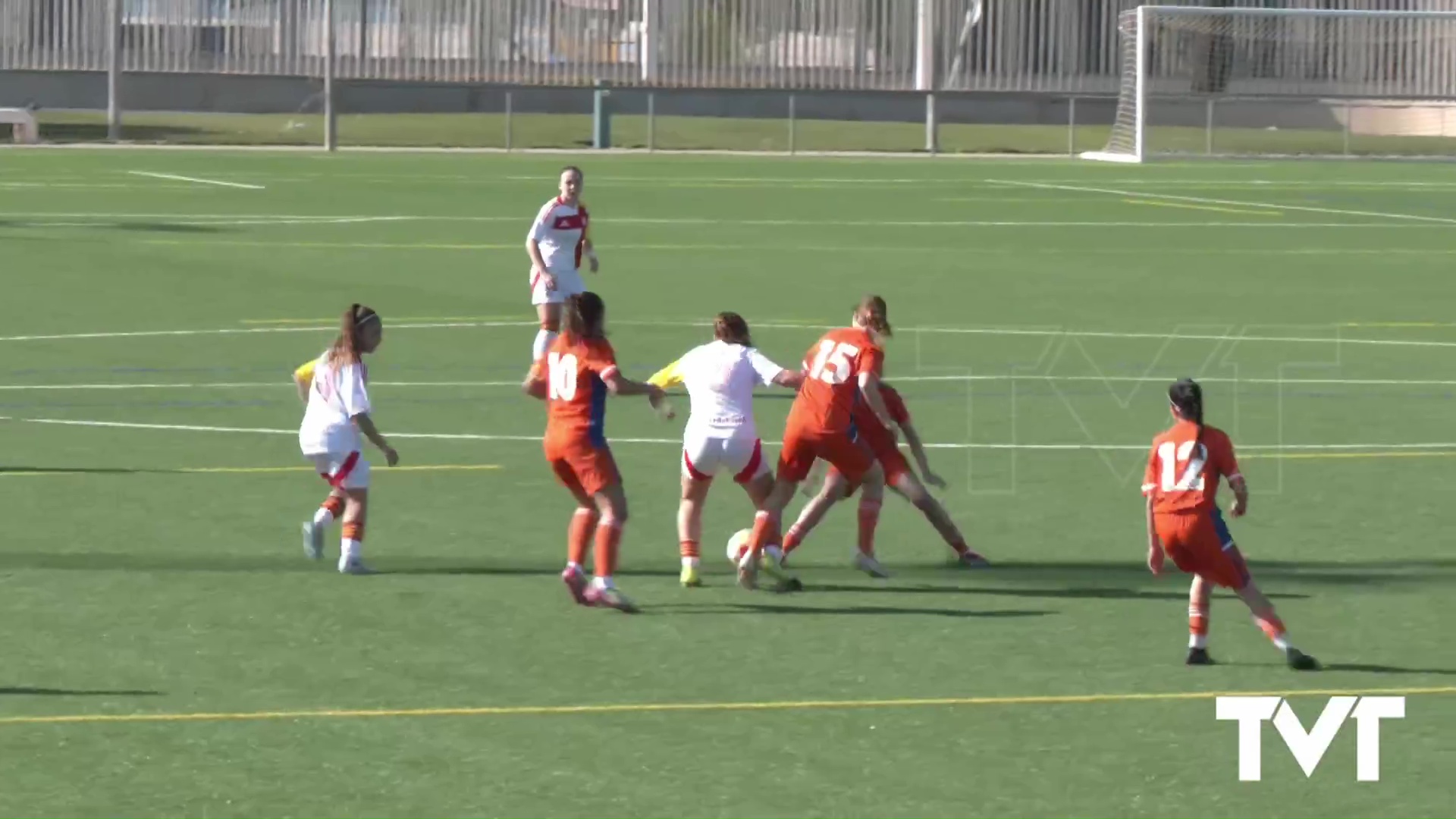 Imagen de Comunidad Valenciana y País Vasco, campeonas de España del CESA disputado en Torrevieja en sub 14 y sub 16