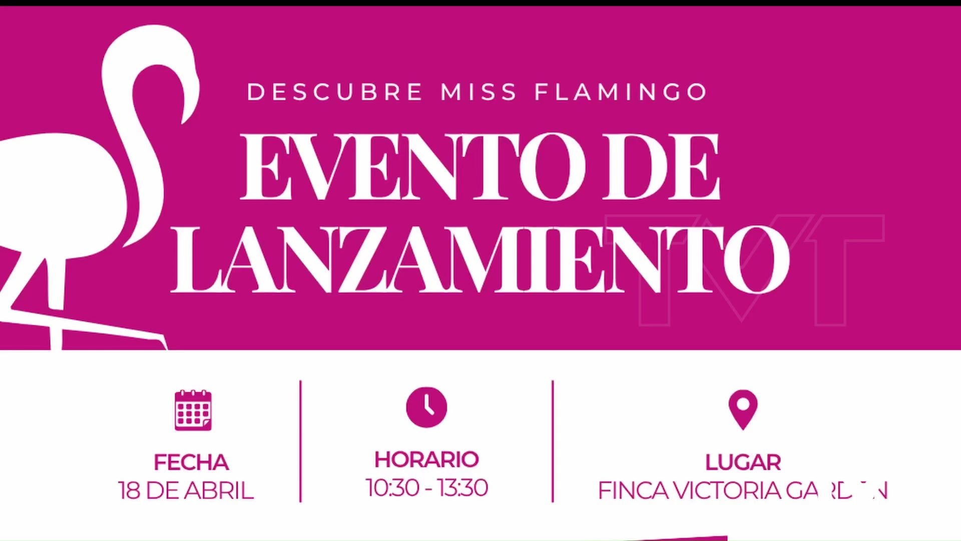 Imagen de Nace Miss Flamingo, una plataforma digital de experiencias locales en Torrevieja 