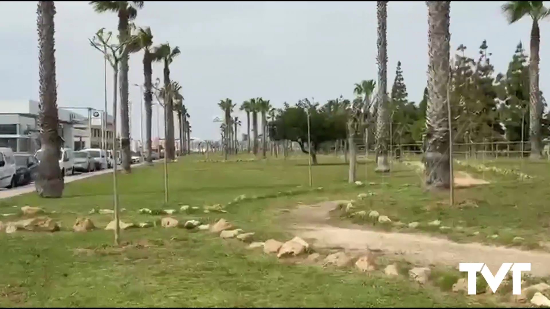 Imagen de Nuevas plantaciones de árboles en El Limonar