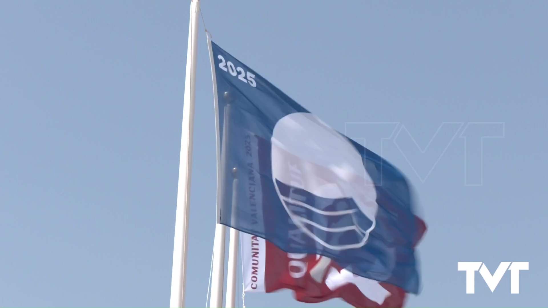 Imagen de Torrevieja renueva sus seis banderas azules en playas, 3 para puertos y dos reconocimientos Centro azul 