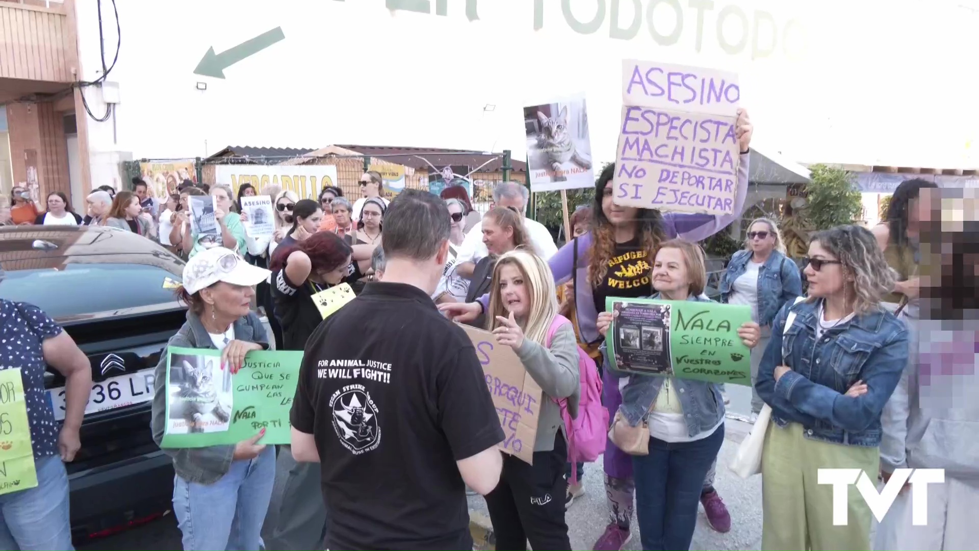 Imagen de Justicia para Nala. Sentencia condenatoria por maltrato animal y deportación 