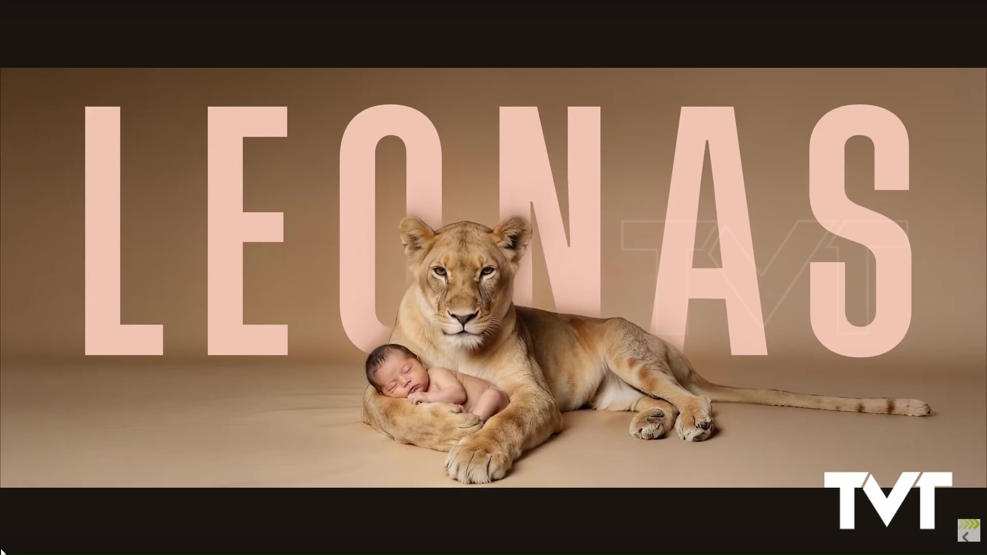 Imagen de Juan Manuel Cotelo , pregonero de la Semana Santa de Torrevieja 2019, estrena en Torrevieja su película documental «Leonas»
